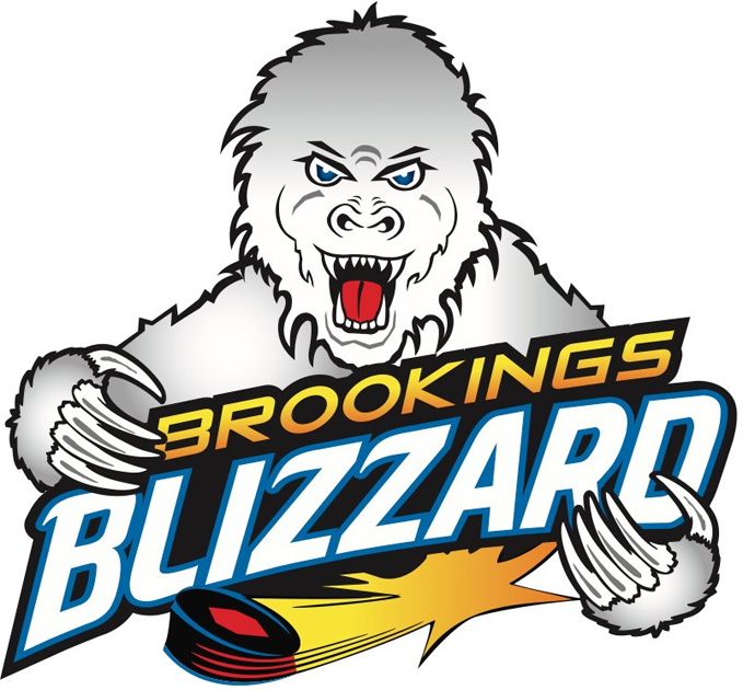brookings blizzard 2012-pres primary logo iron on transfers for clothing